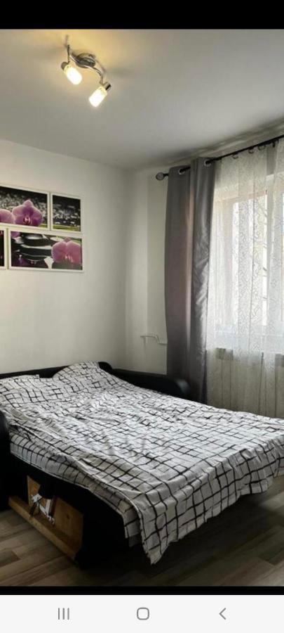 Zenapartment Брашов Экстерьер фото